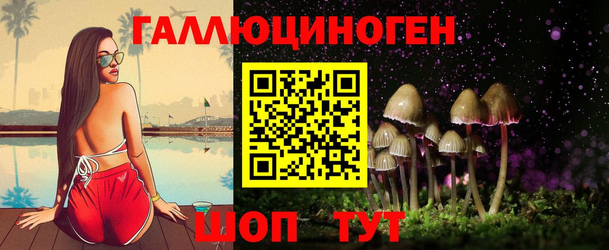 Псилоцибиновые грибы прущие грибы Северск