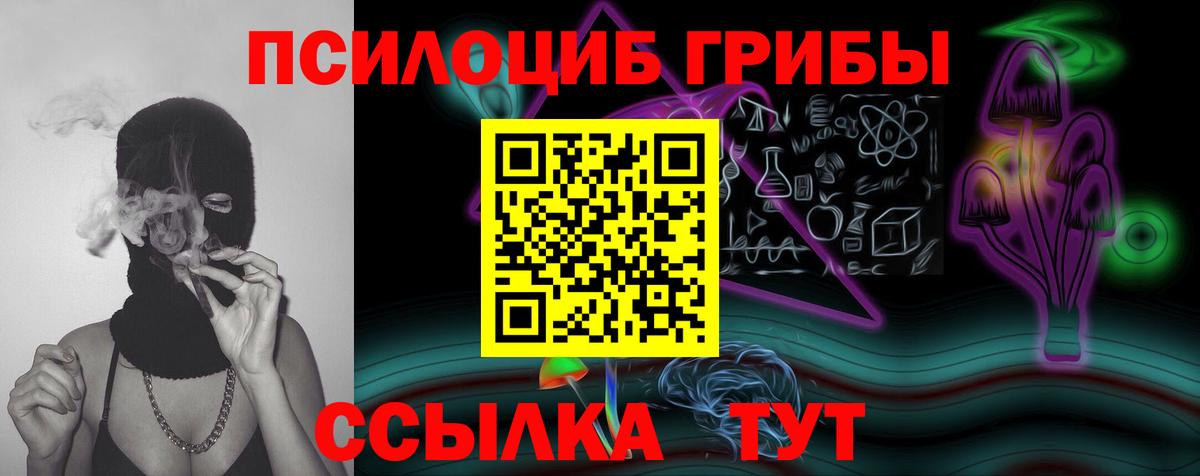 Северск  Псилоцибиновые грибы Psilocybine cubensis  Галлюциногенные грибы мицелий  Вход с VPN 